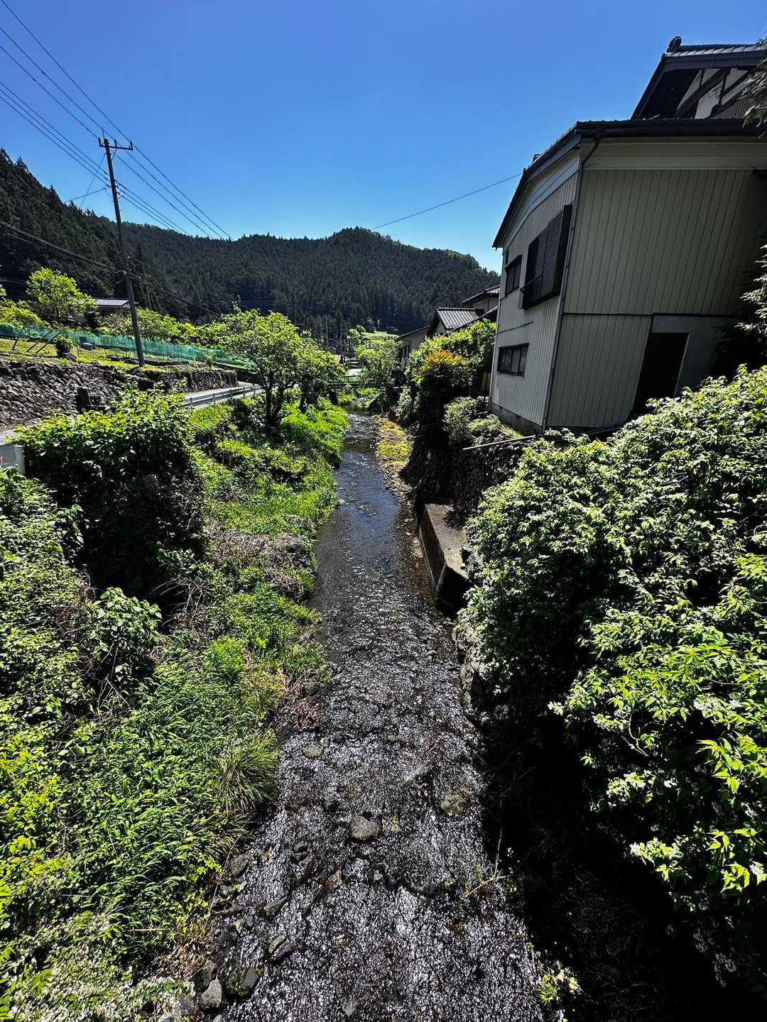 いいなぁこの雰囲気