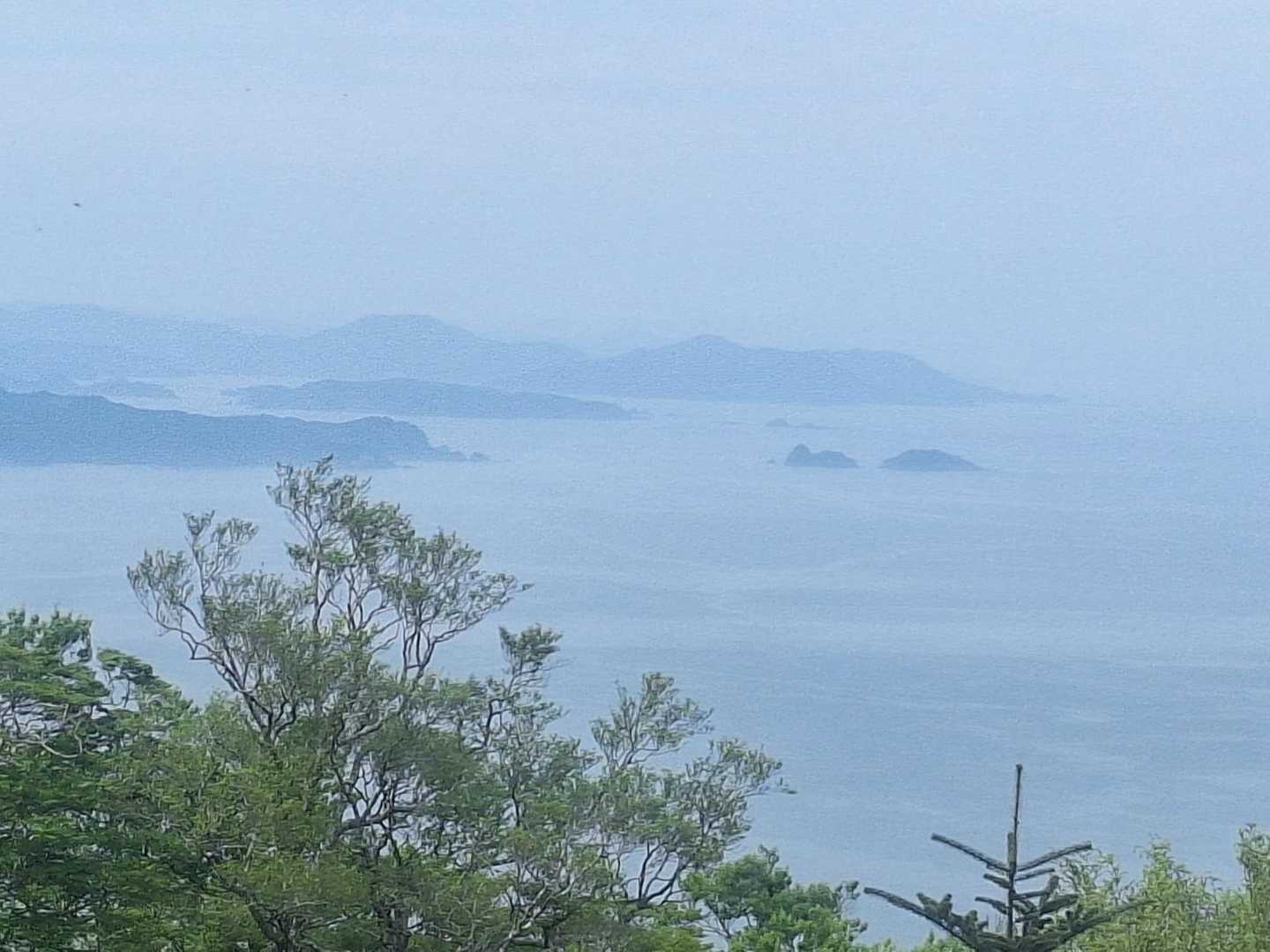鹿山-金華山 周回コースの写真