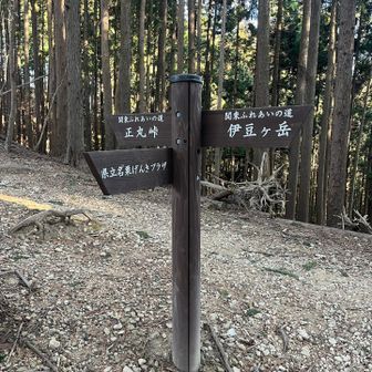 ⬅️正丸峠➡️伊豆ヶ岳