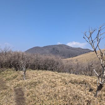 登山道を神山へ進む