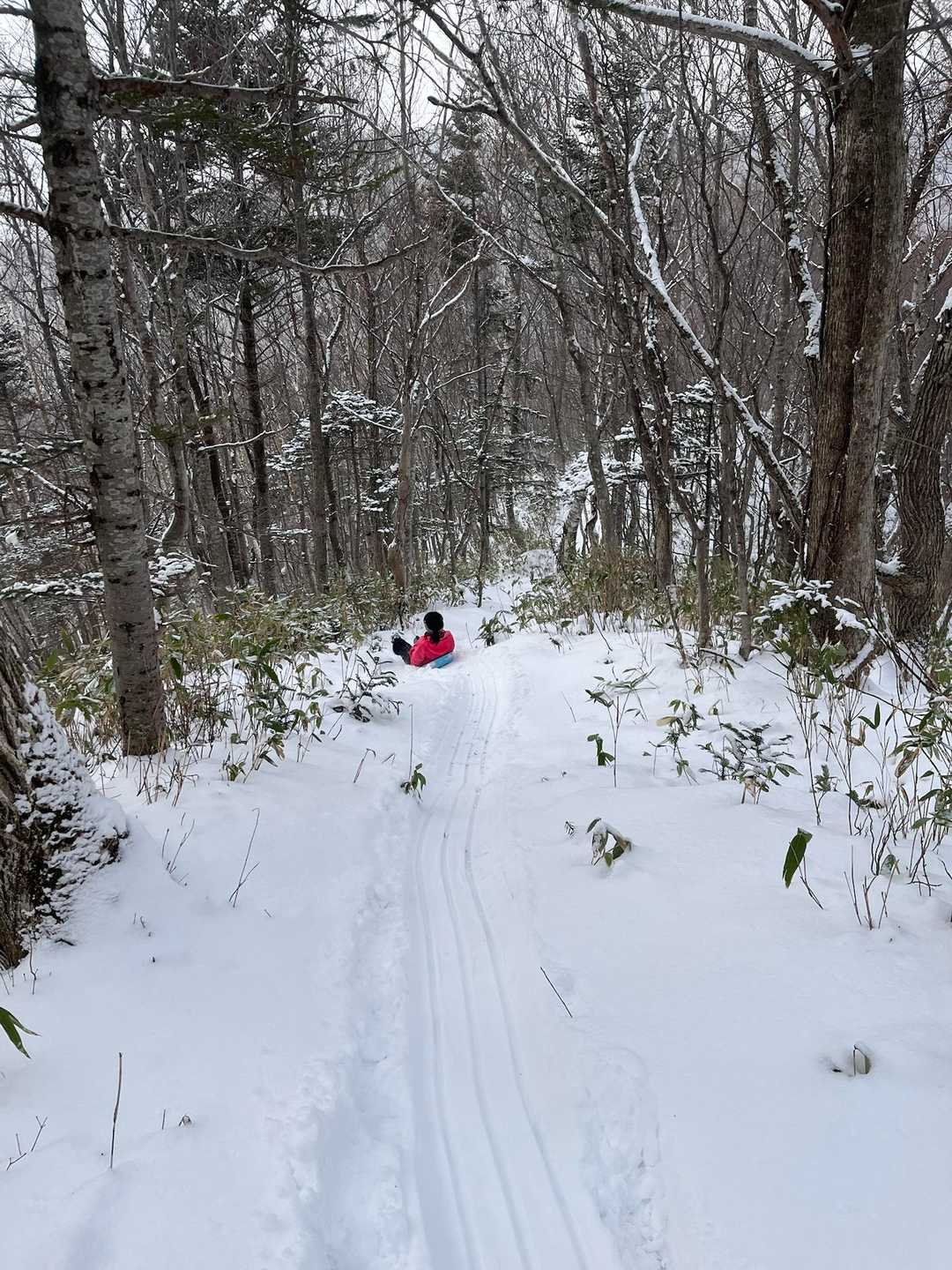 誰もいない雪原でそりすべり🛷