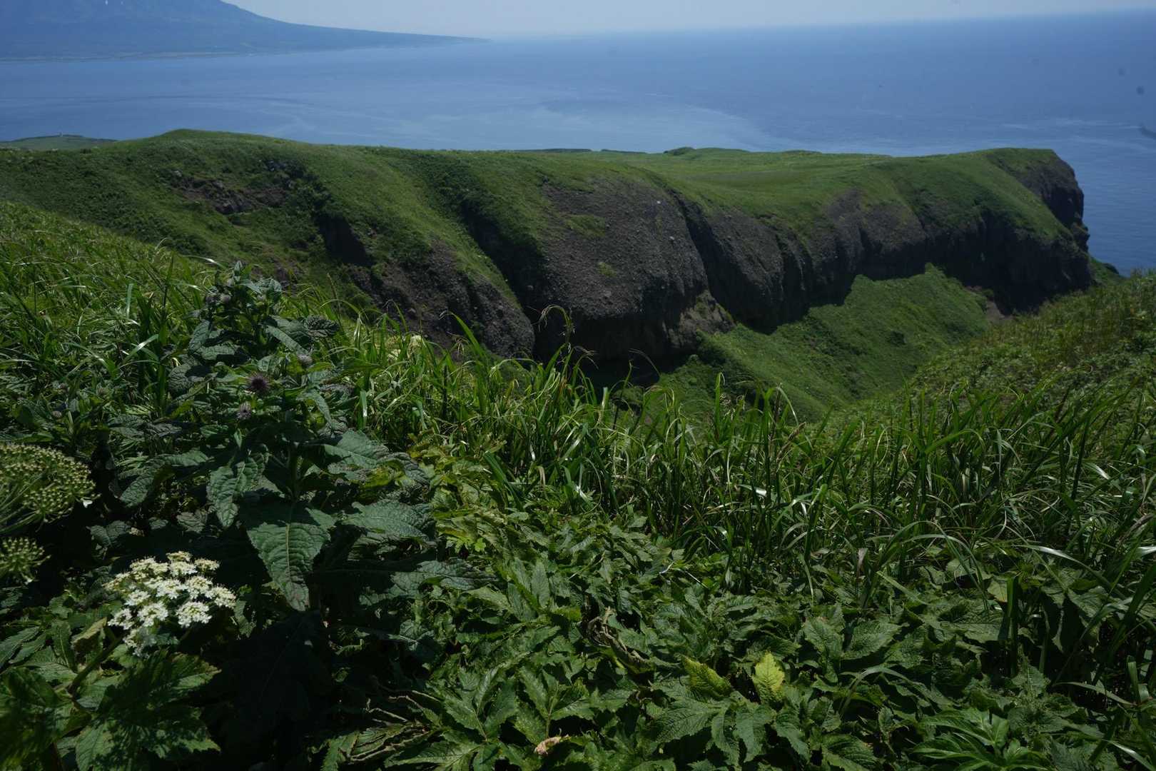 桃岩展望台登山口-キンバイの谷-つばめ山-元地灯台 縦走コースの写真
