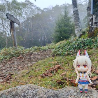 小菅への分岐点