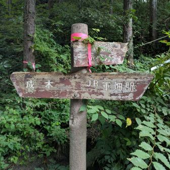 登山口
