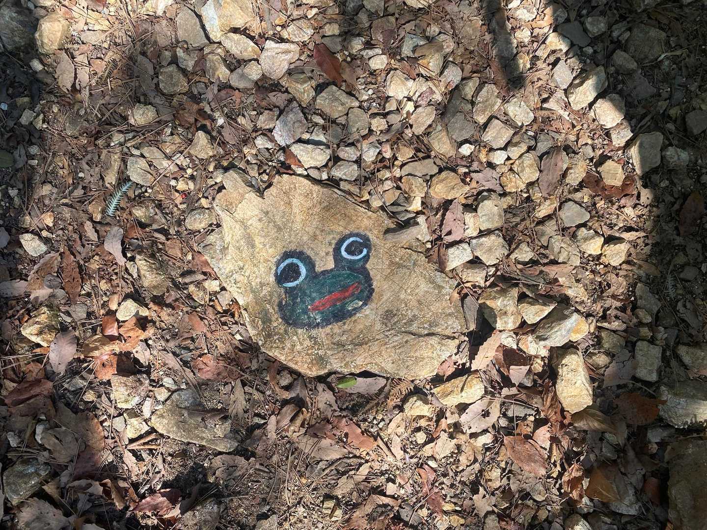 足元にも「ブジに🐸」くんが☺️