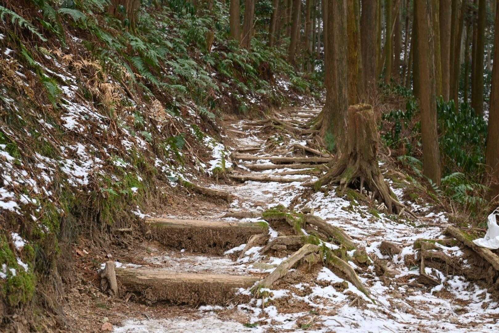 標高700ｍを越えると登山道脇に雪が