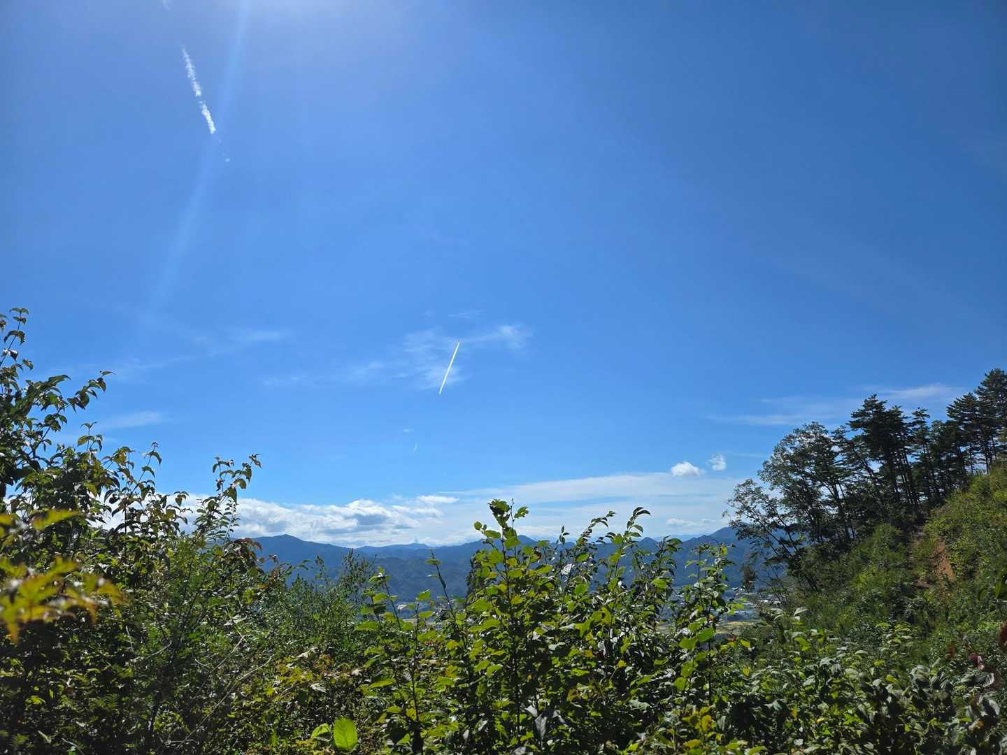 三吉山-葉山 周回コースの写真