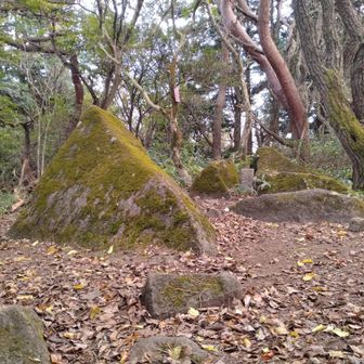 坊主山山頂。変わった形の岩が飛び出てるくらい。