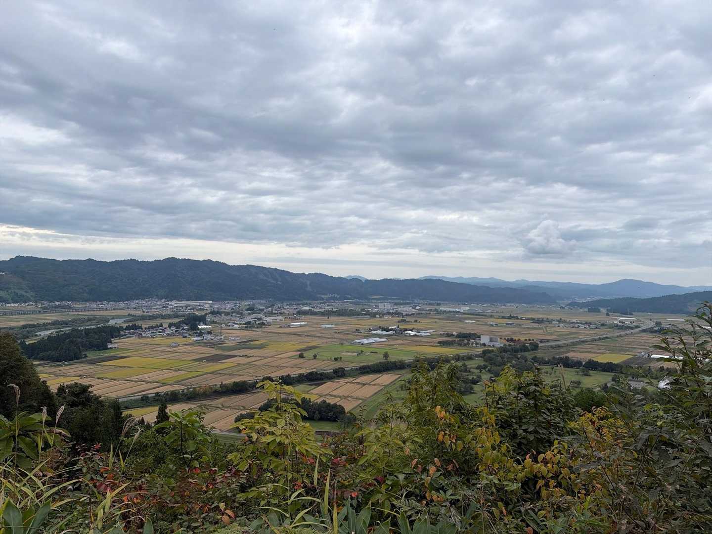 坊谷山-愛宕山 周回コースの写真