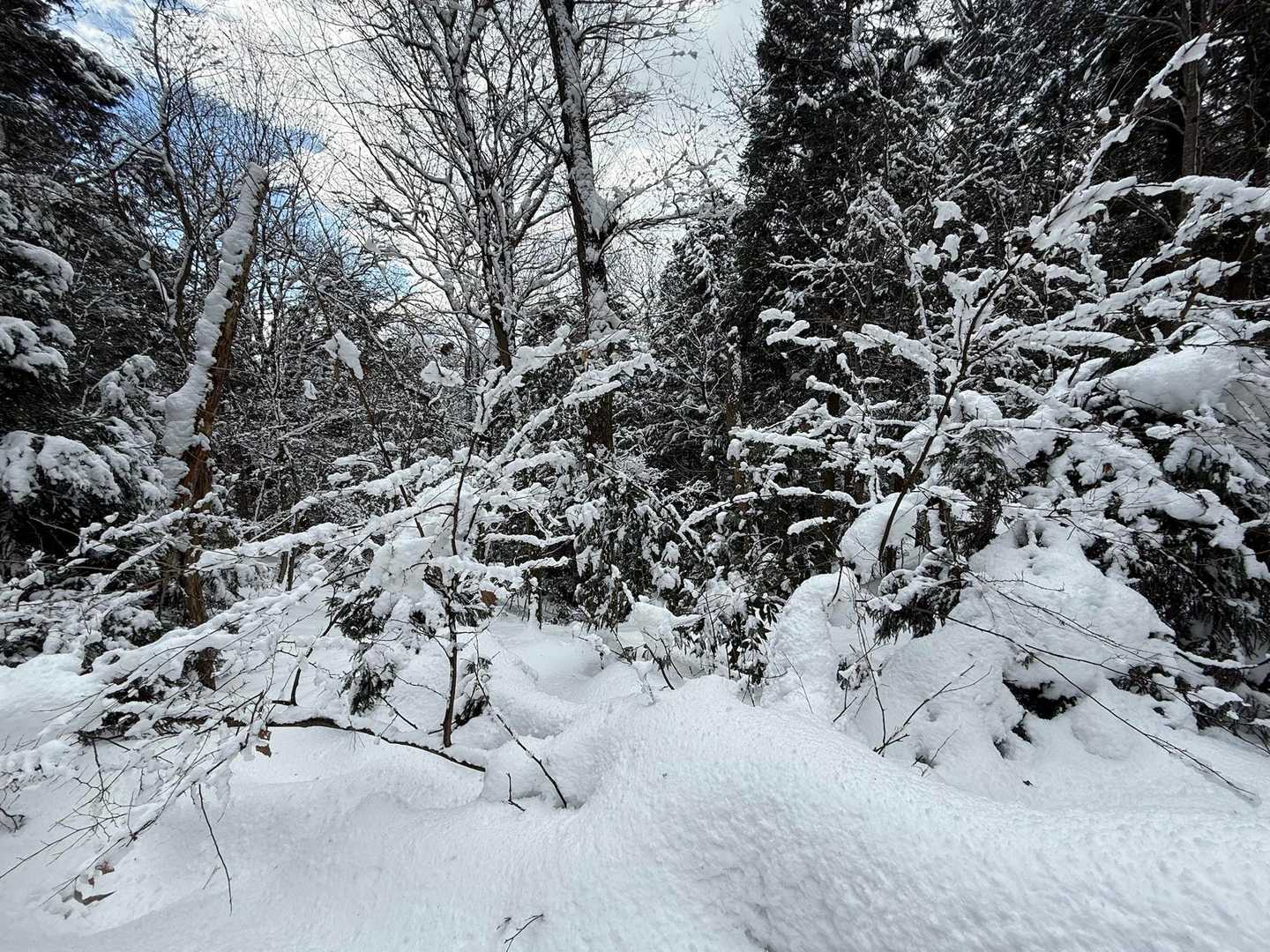 賤ヶ岳 往復コースの写真