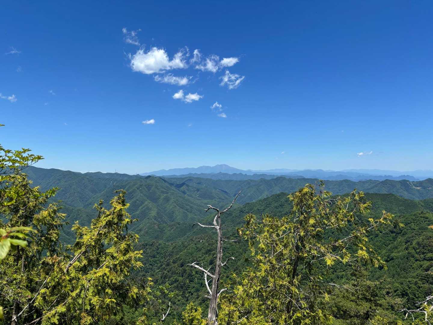 視界が開けてきた。遠くには、この日もともと行くつもりだった浅間山