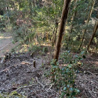 階段を降りて行くと