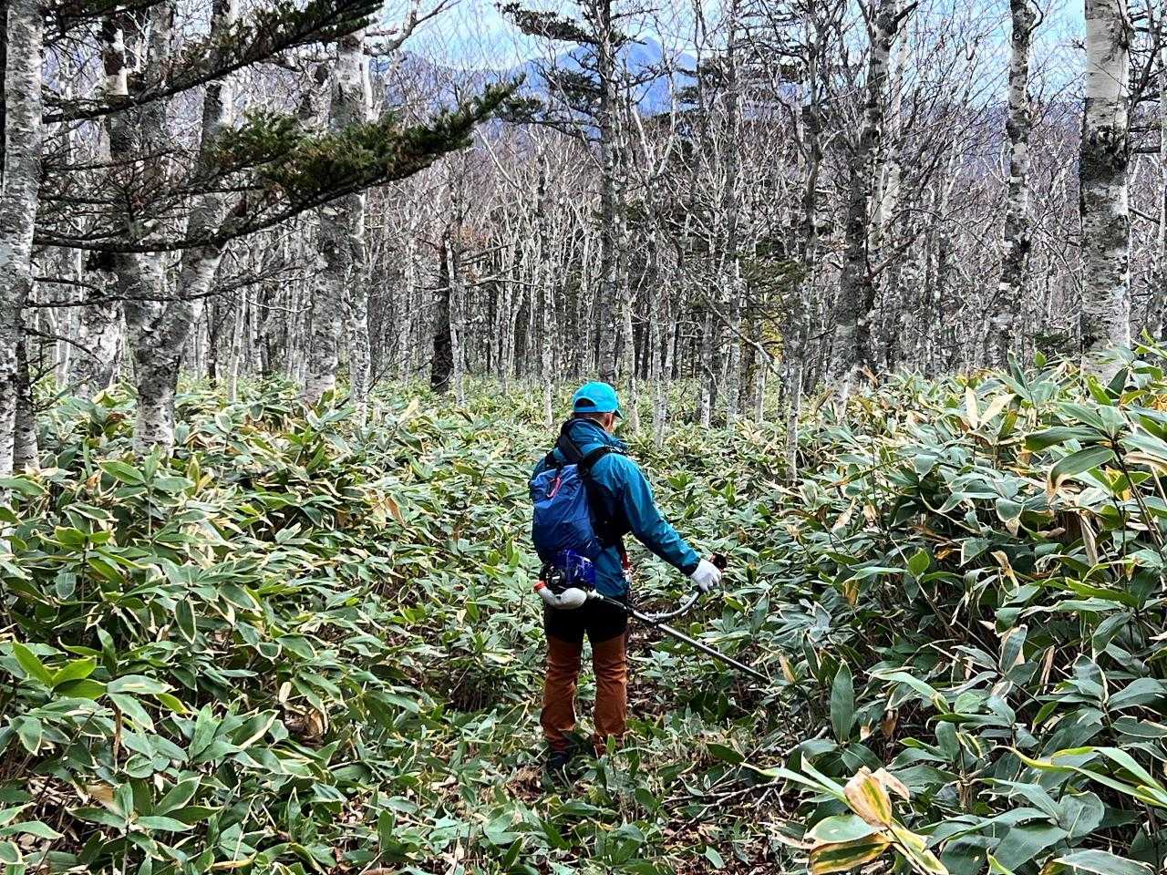 秋の標津岳整備（6合目まで） / K.Yamaの登山データ | YAMAP / ヤマップ