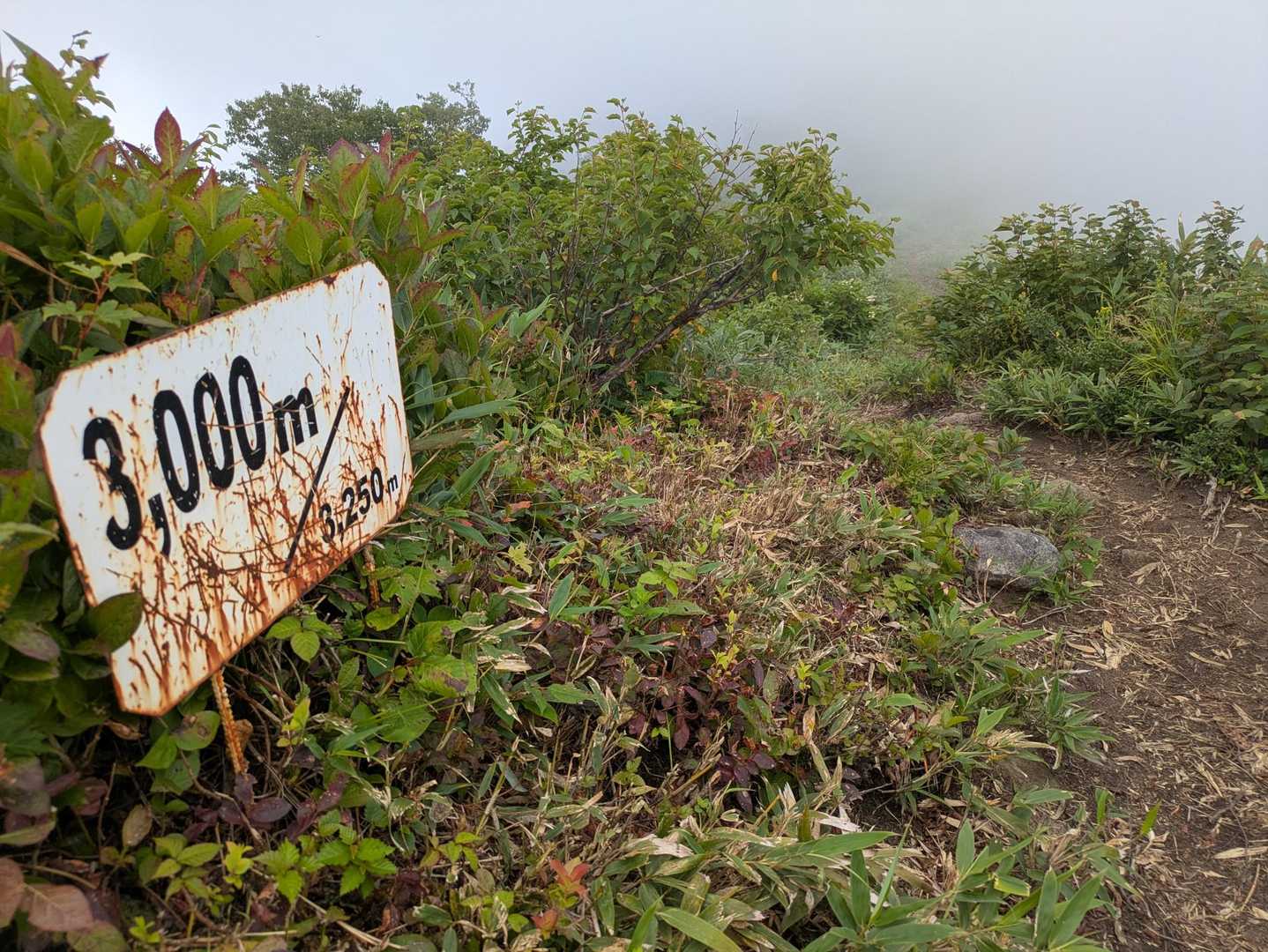 尻別岳登山道入口-尻別岳 往復コースの写真