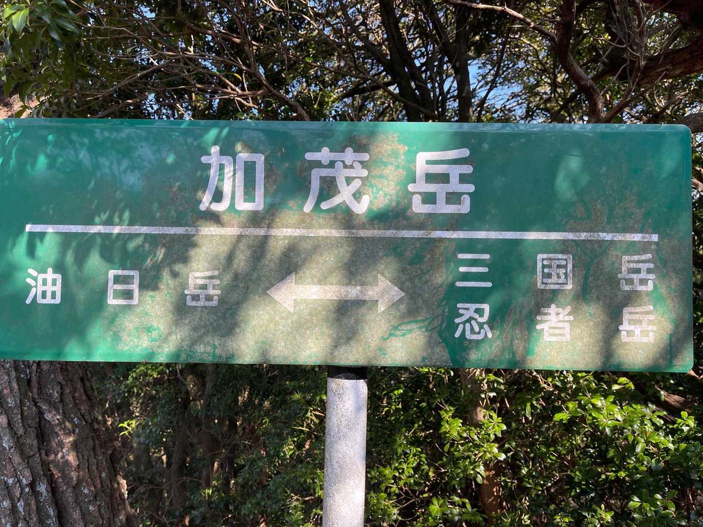 次がニンニン