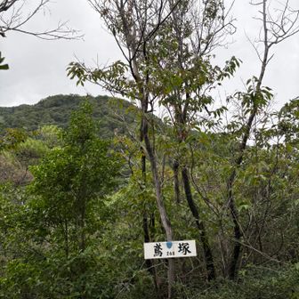 鳶塚からの雄岳
雨は大丈夫そうです👌