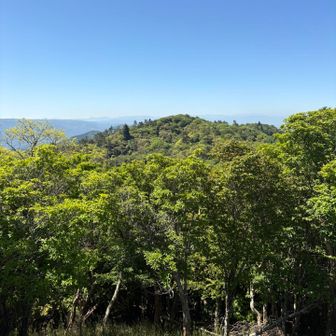 南峰も👀✨