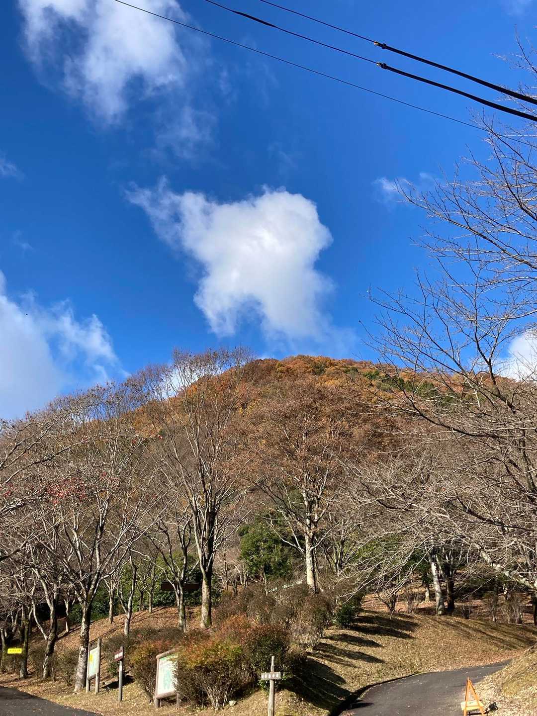 今日はしぐれるかな〜と思っていたけど青空が嬉しい☺️
