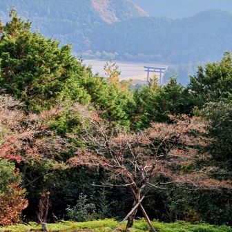 熊野古道
最高のスポット
ここを通らずして
熊野古道にあらず