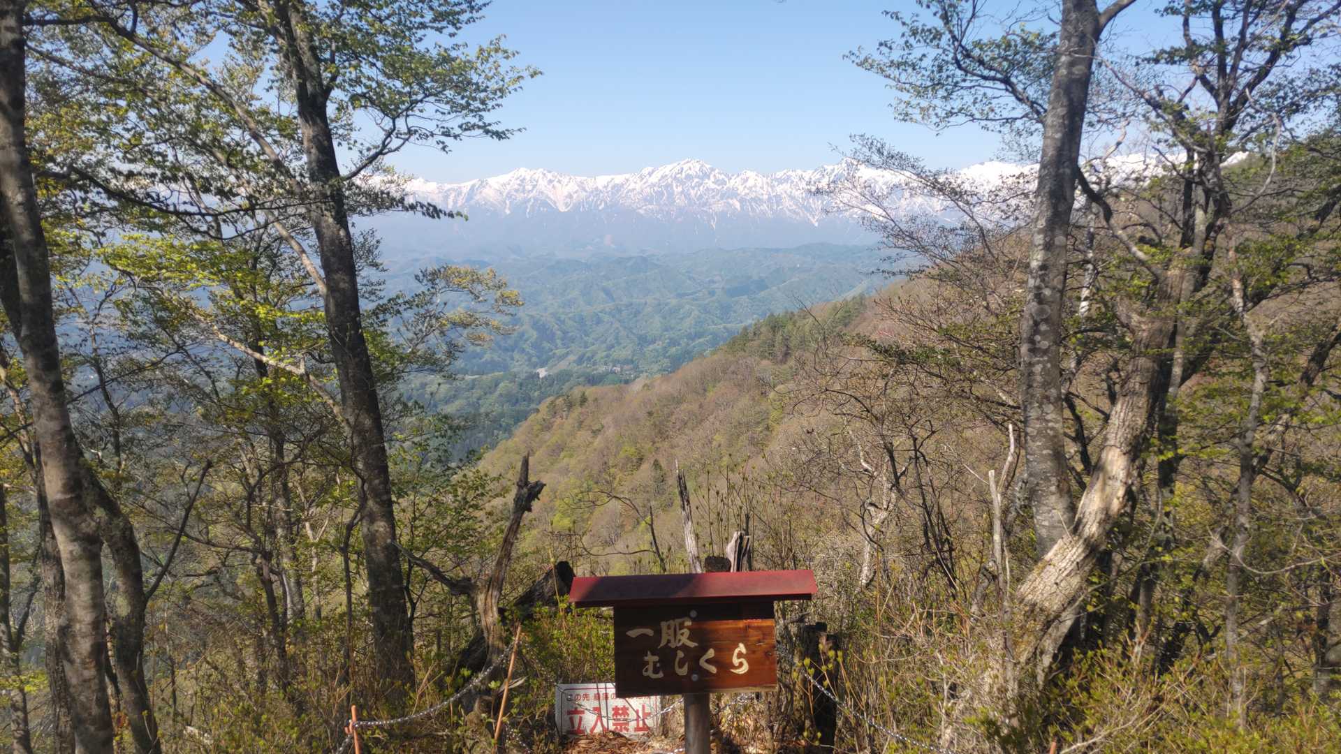虫倉山山頂まであと一息。