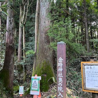 この先は行きませんでした