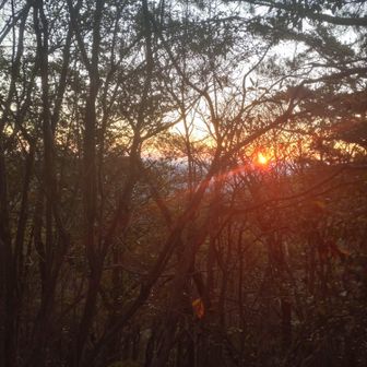 最後まで、お付き合いいただきまして、有難うございます。