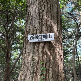 西茶臼城山