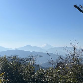 富士山初めてちゃんと目視した