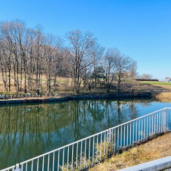 池の脇を通り、鹿田山を目指します🥾