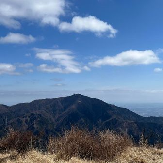 大山かな？