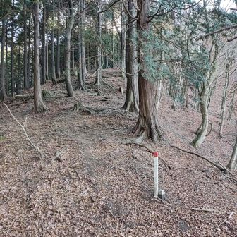 ここが、最後の登りです。

地図上、山伏平の所で、この看板の後ろには行かないで下さいと書かれてる所です😅