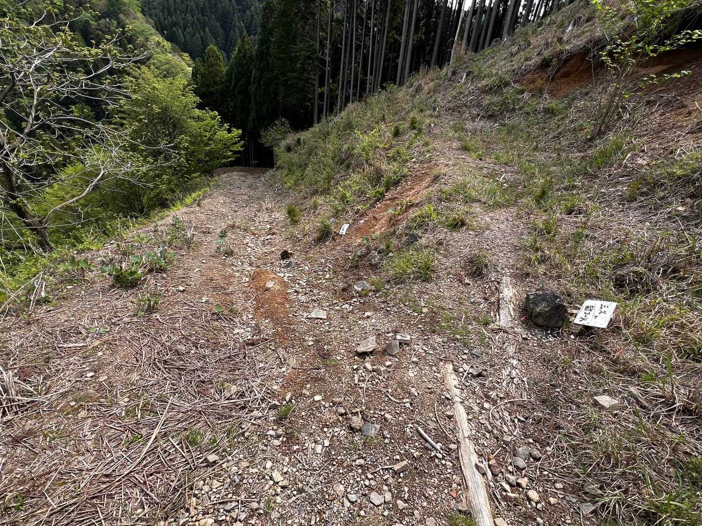 尾根に新道ができていた(右の道)。
旧道に比べて距離は短いがかなりの急登のようだ。