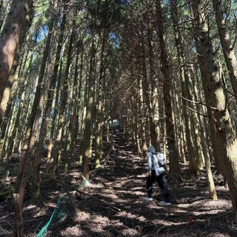 学能堂山手前の登り
