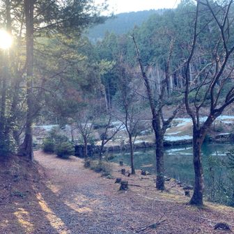池の周りに❄️が