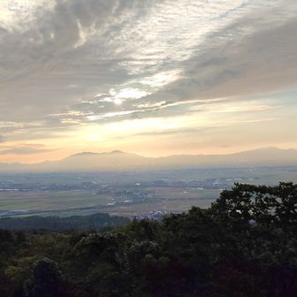 夕日に映える