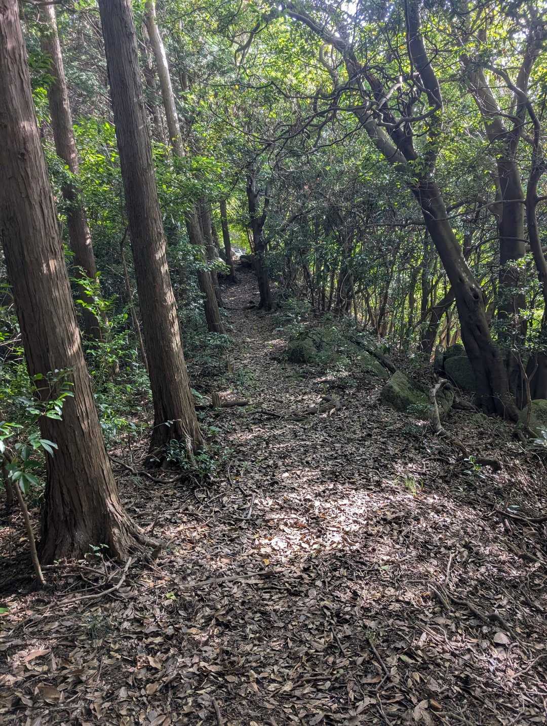 良き道