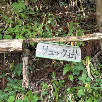 あー、リュック掛けだったんですね👀