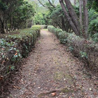 あるふぃすた、整備された道をゆく🚶‍♀️