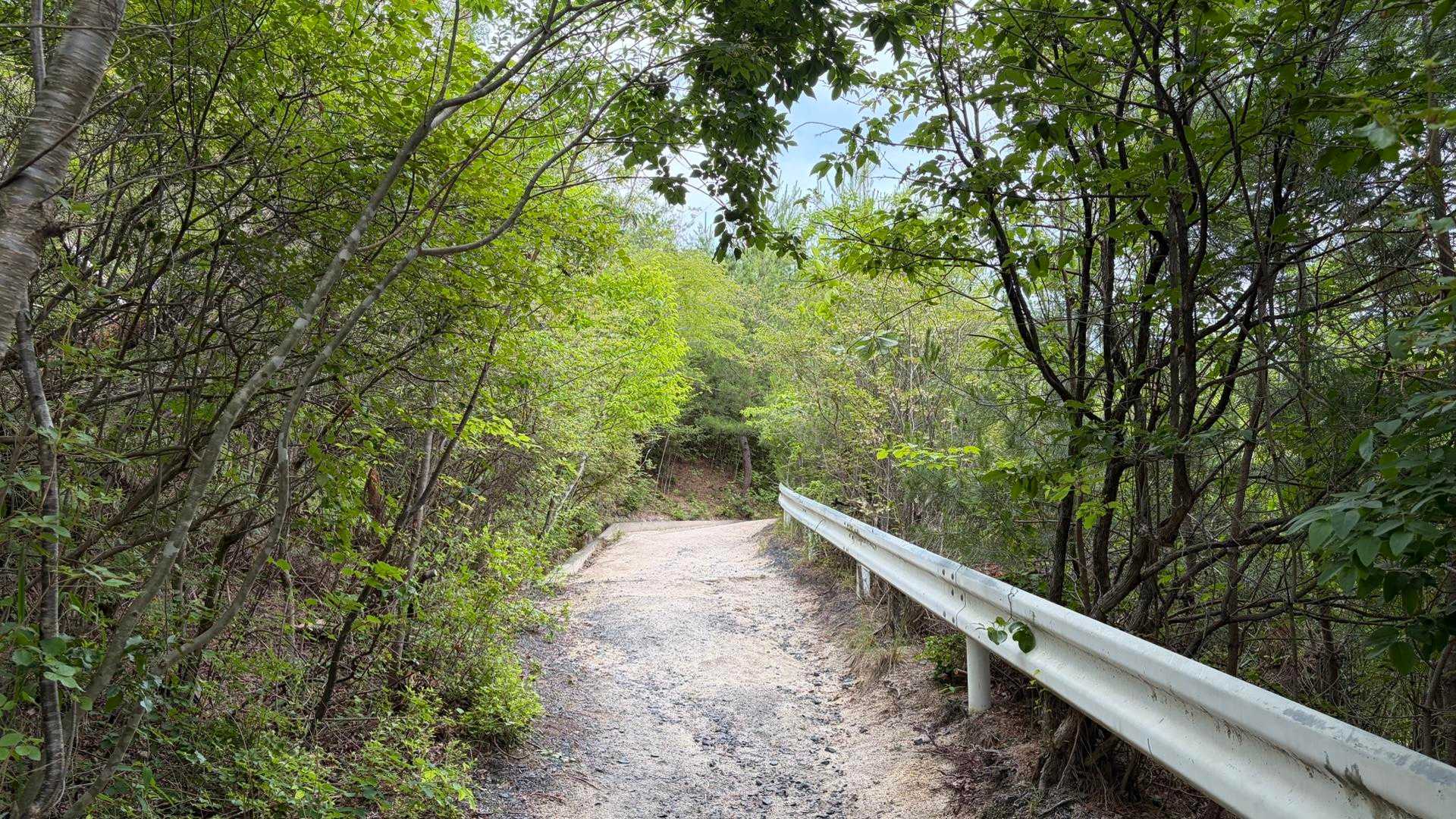 菩堤寺山 周回コースの写真
