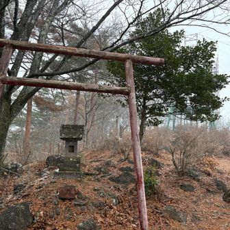 今日登った山は全て山頂神社