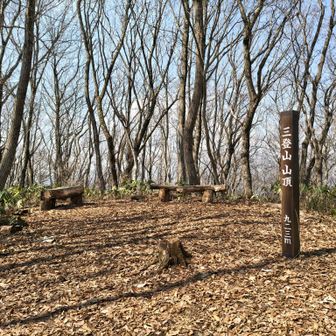 三登山山頂。今回もここで昼飯休憩。