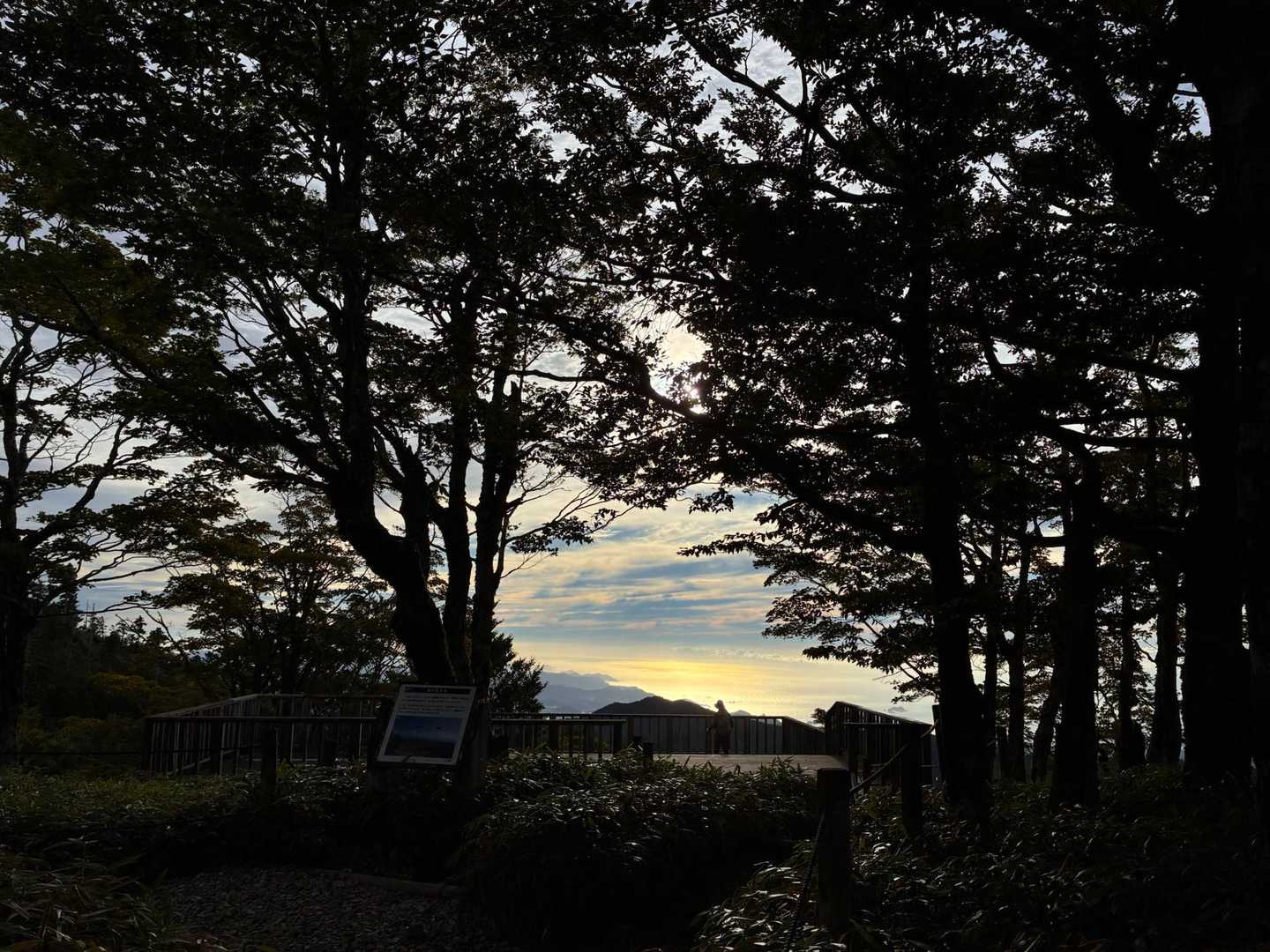 ビジターセンター-大台ヶ原山（日出ヶ岳） 往復コースの写真