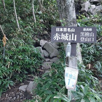 黒檜山登山口。スタートから傾斜が急。
