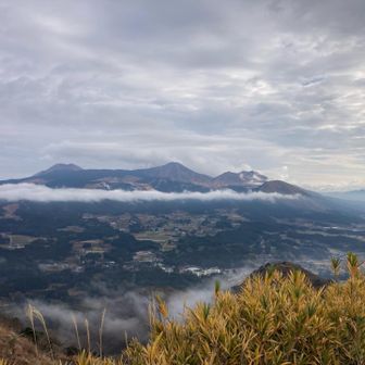 天気予報は曇り…。今日は初の登山というパイセンをエスコートする。思えば僕も3年前にSさんに連れてってもらったなぁ…。
とにかく眺めが良いさほどキツくない山という事で俵山を選んだけど、スタートからこれだからなぁ．。展望所からの雰囲気ある眺望😍
