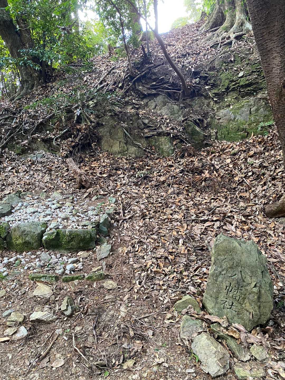 国束山 往復コースの写真