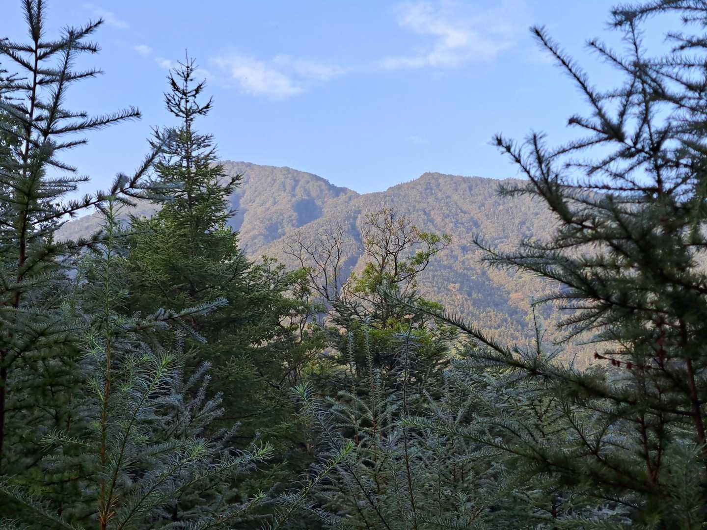 男体山