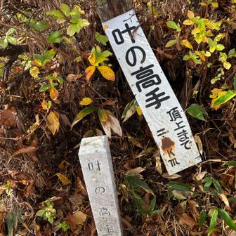 九十九折りの登りが続いてここまで2時間20分