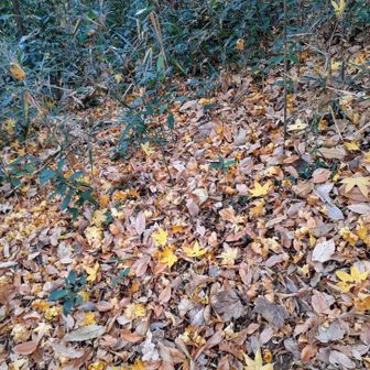 フカフカだけど滑る💦