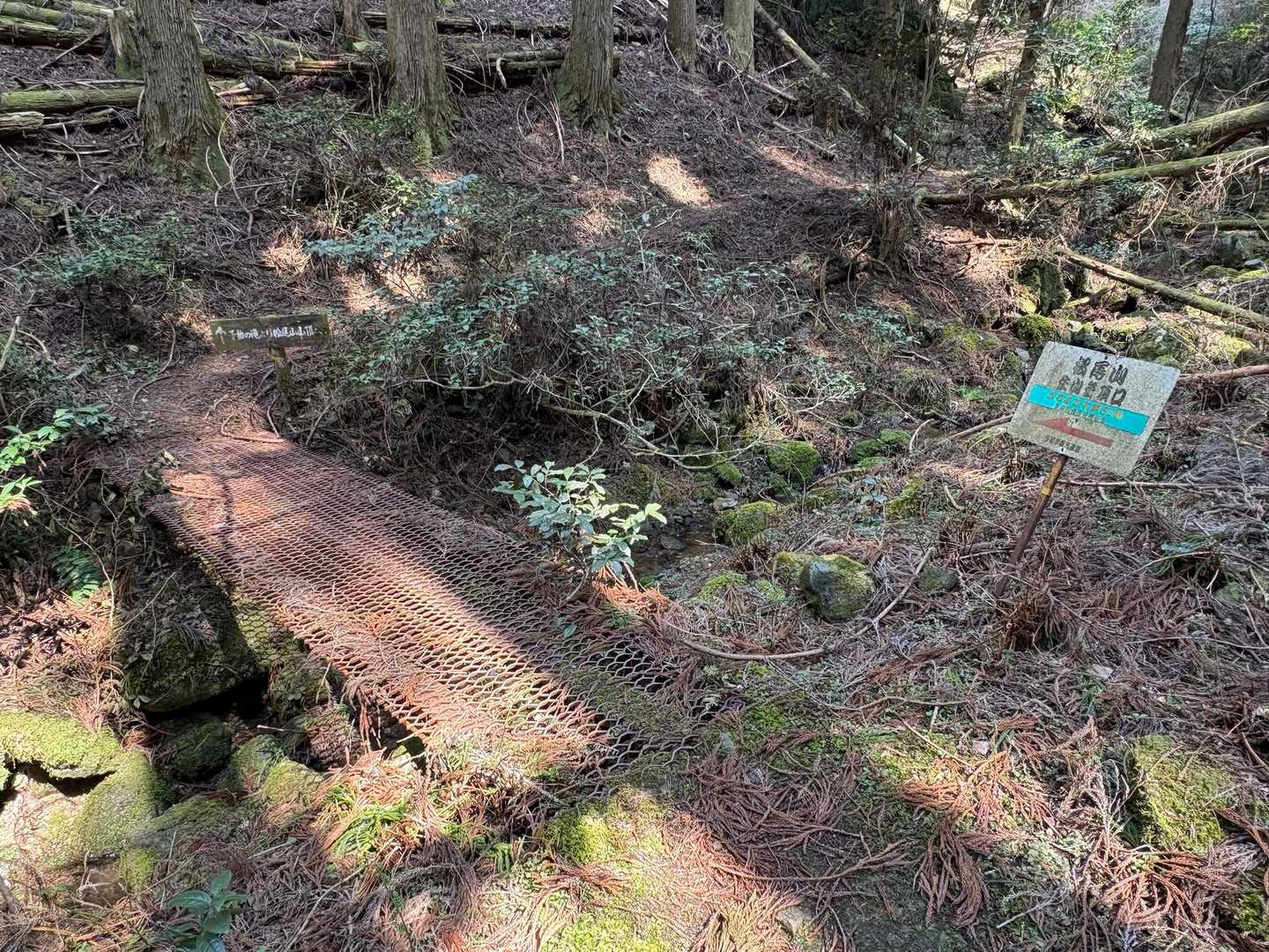 登山口に戻りました😁