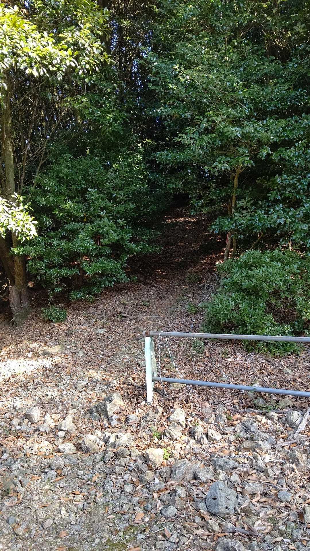 白滝山 往復コースの写真